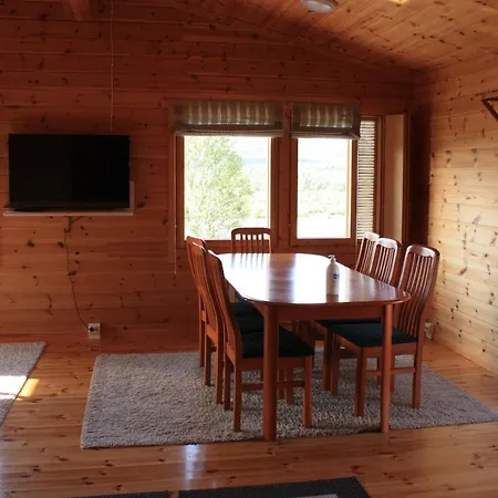 Arctic Aurora Borealis