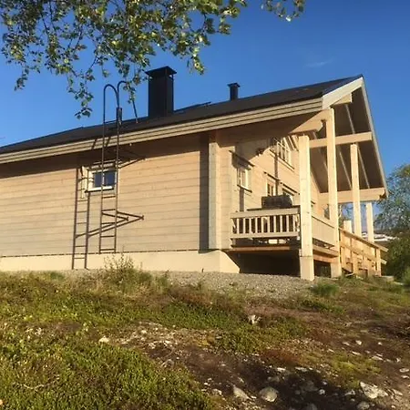 Arctic Aurora Borealis