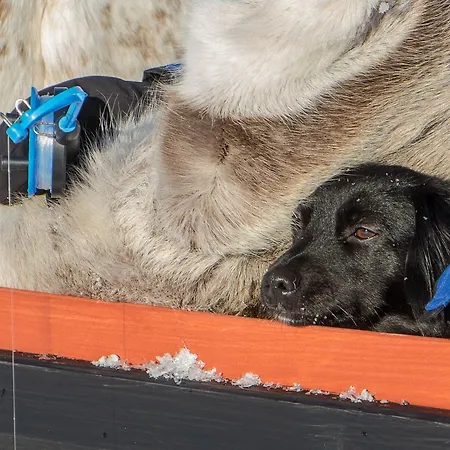 Arctic Aurora Borealis Nuorgam