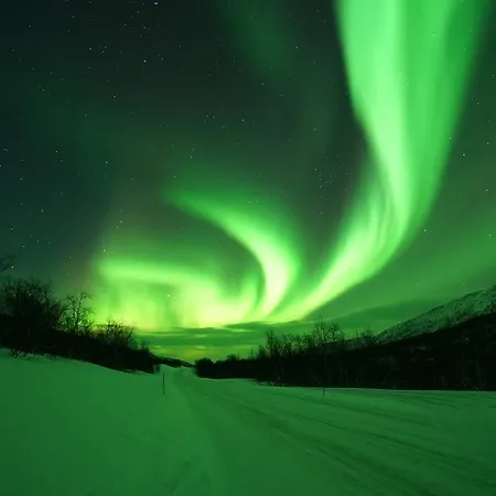 Arctic Aurora Borealis Chalet
