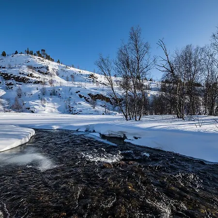 Arctic Aurora Borealis Nuorgam