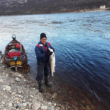 Arctic Aurora Borealis *