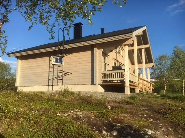 Arctic Aurora Borealis