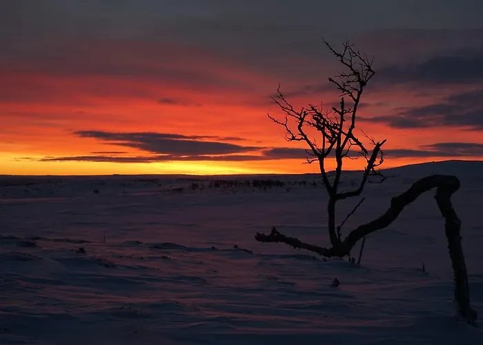 샬레 Arctic Aurora Borealis *