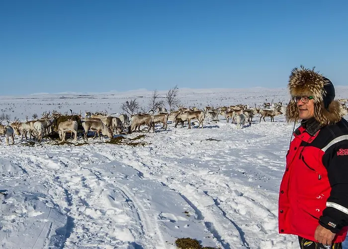 Arctic Aurora Borealis 샬레