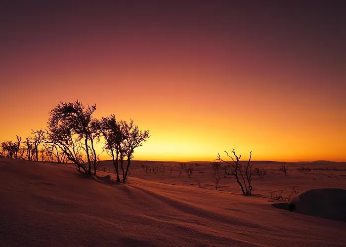 샬레 Arctic Aurora Borealis