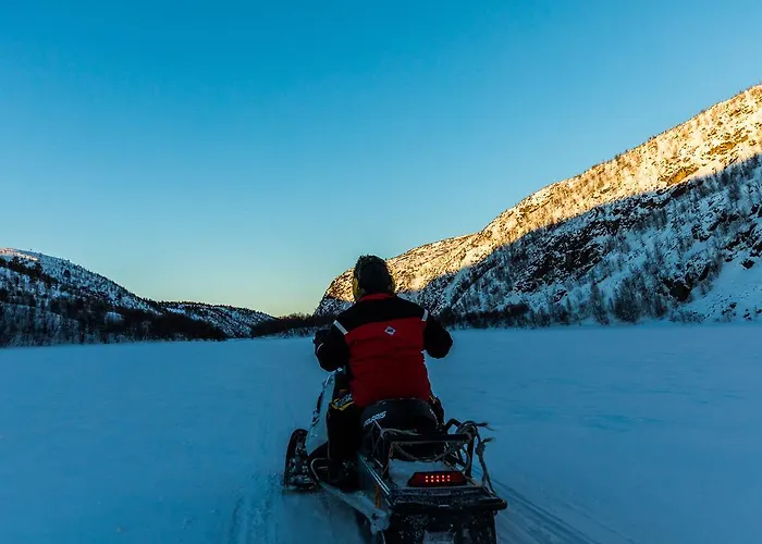 Arctic Aurora Borealis