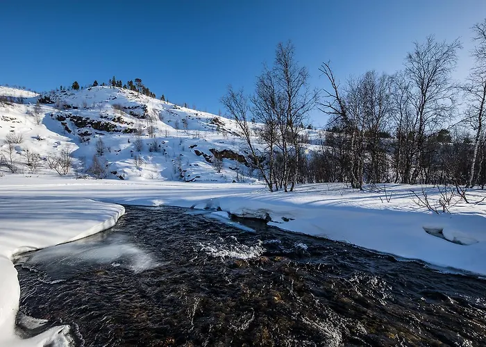 Arctic Aurora Borealis Nuorgam