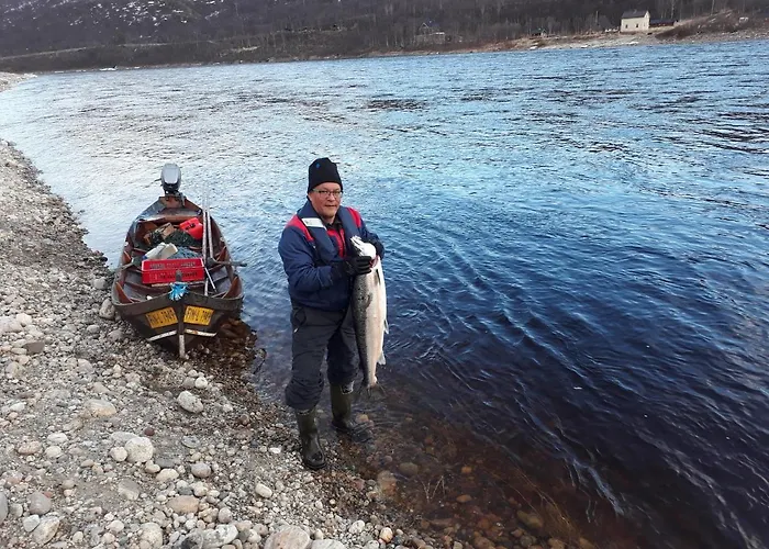 Arctic Aurora Borealis *